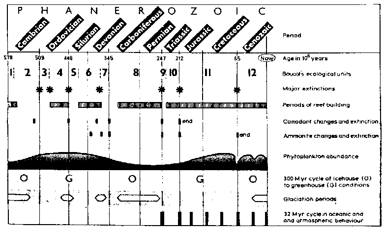 Major extinction events in the evolutionary time scale