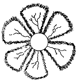 Corposant with six-fold symmetry