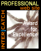 INTERCATCH Professional Web Site Award for Excellence, Aug 1998