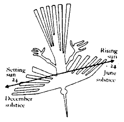 Nazca figure