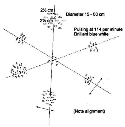 Flashing patches of worm-like shapes