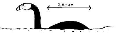 Animal seen in Lake Tele that may be the Mokele-Mbembe