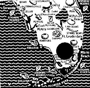 Asteroid's footprint near Florida Everglades