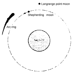 Neptune's arc ring may be controlled by two moons, a shepherd and a Lagrangian.