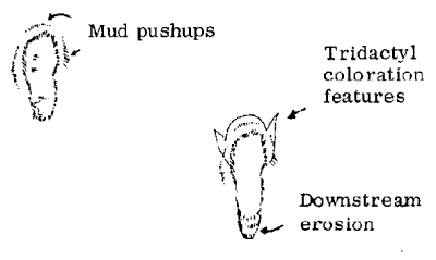 Original Paluxy footprint (left) and their present appearance (right)