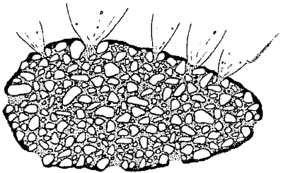 Section through the icy-glue model of cometary nucleus.