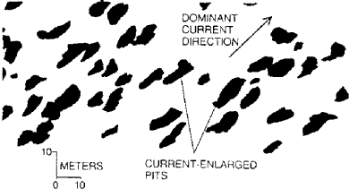 Whale-excavated pits in the Bering Sea