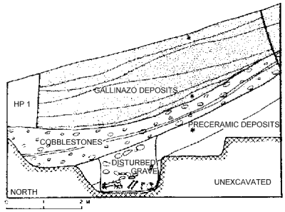 Profile of site on Peruvian coast.