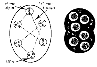 Besant-Leadbeater ESP-derived model of hydrogen (left) and dibaryon 'bag model'