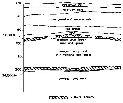 Stratigraphy at Monte Verde, Chile.