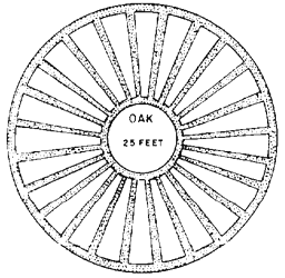 Garden bed if wheel-shaped plats