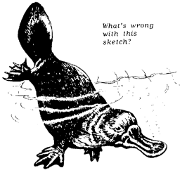 Duckbill Platypus