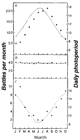 Hostilities correlating with the number of hours of sunlight