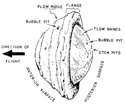 Aerodynamically sculpted Australasian tektite