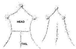 Kite or keyhole structure of the Middle East