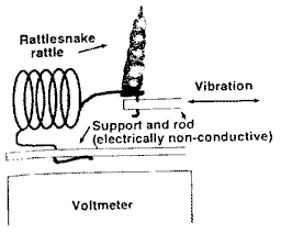Experimental setup for demonstrating the electrostatic-generating capabilities of rattlesnake rattles