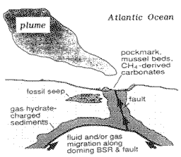 Natural-gas plume rising from the sea-floor off the Carolina coast