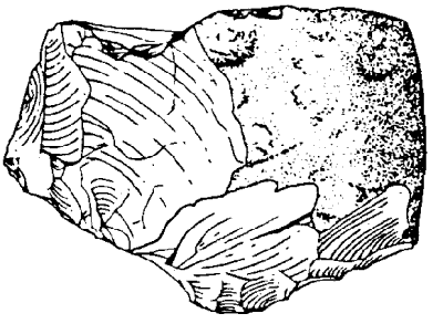 Crude stone tools are signs of human presence