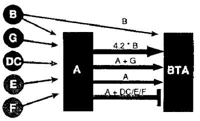 Biological computers as seen in the logic circuits of a promoter for the gene Endo 16