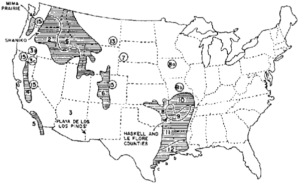 Mima mounds and pimpled plains in the USA