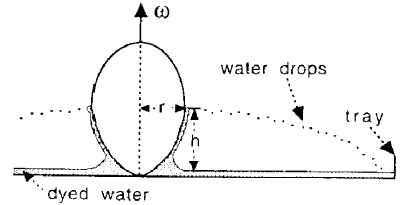 Spinning hard-boiled egg water sprinkler