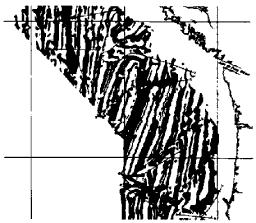 Terrestrial magnetic stripes off North America