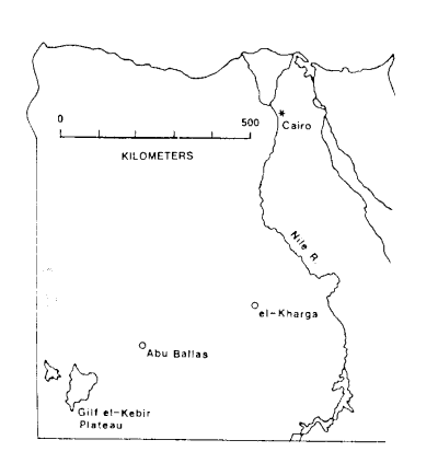 Libyan Desert Glass strewn over the shaded area